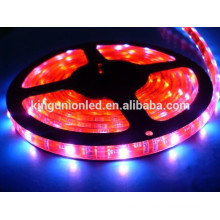 12V/24V 3528 SMD LED flexible strips,LED light strip,Flexible LED strip light